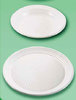 Plato Plástico llano 17 Cm PP Desechables
