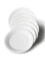 Plates Disposable